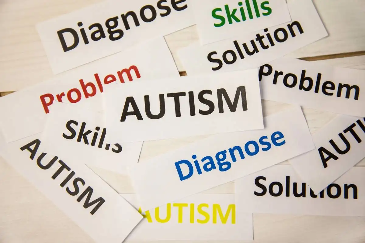 Link Between Environmental Factors and Autism
