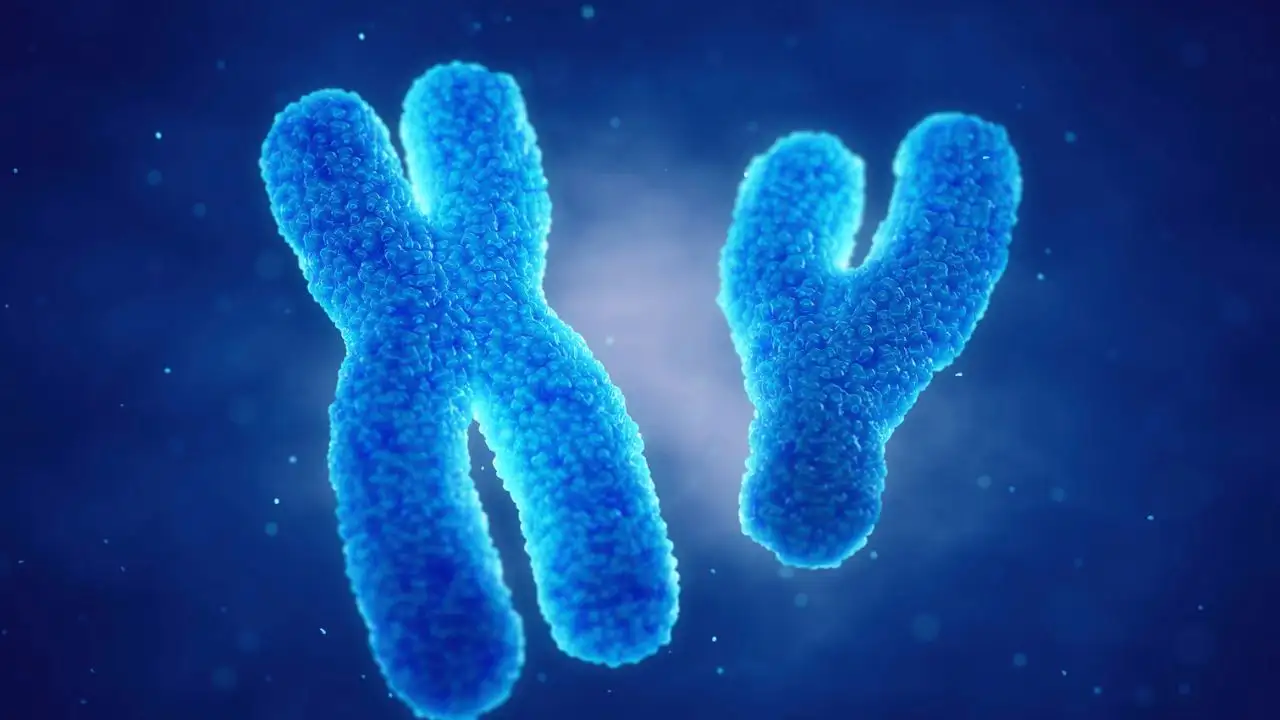 PGT-A and Its Role in Detecting Down Syndrome