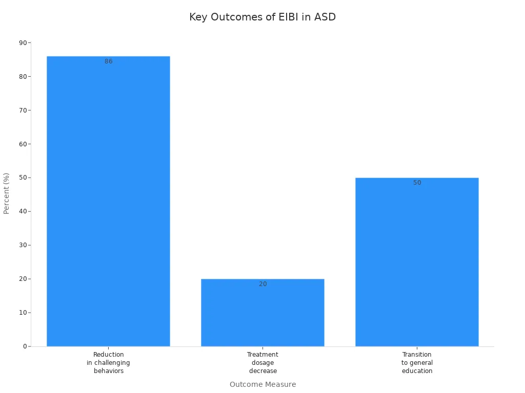 key outcomes of eibi