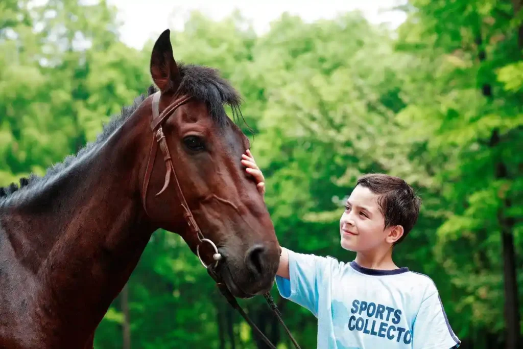 Can Horses Sense Autism