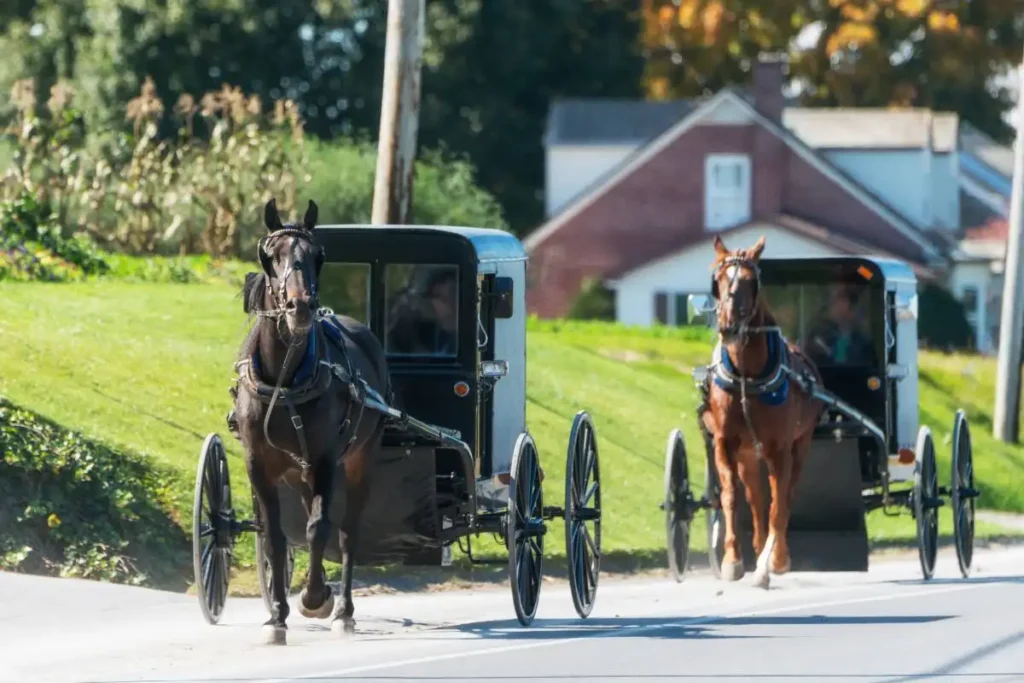 Do Amish Children Really Escape Autism