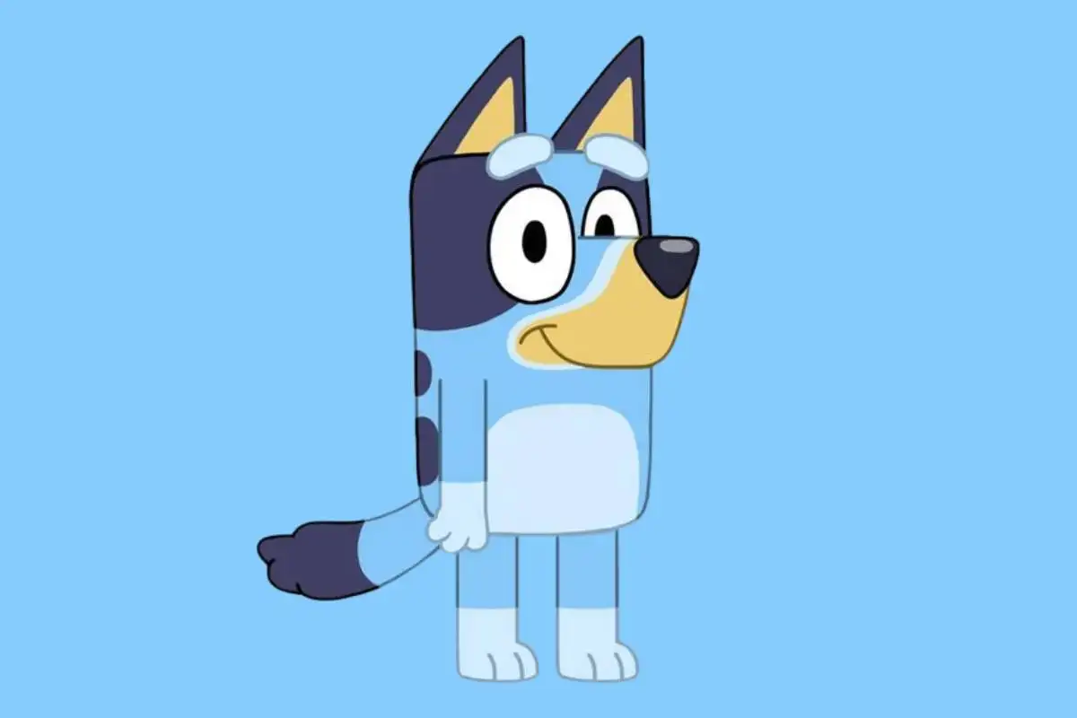 Does Bluey Have Autism? Beloved Children's Show