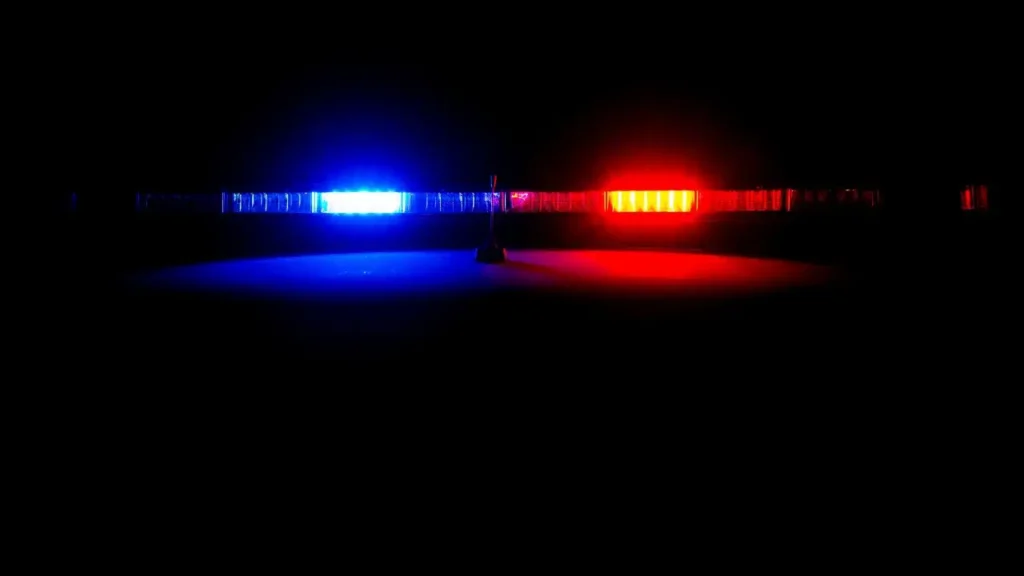 What autistic adults experience during police encounters